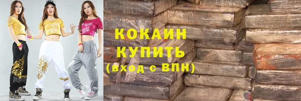 индика Заволжск