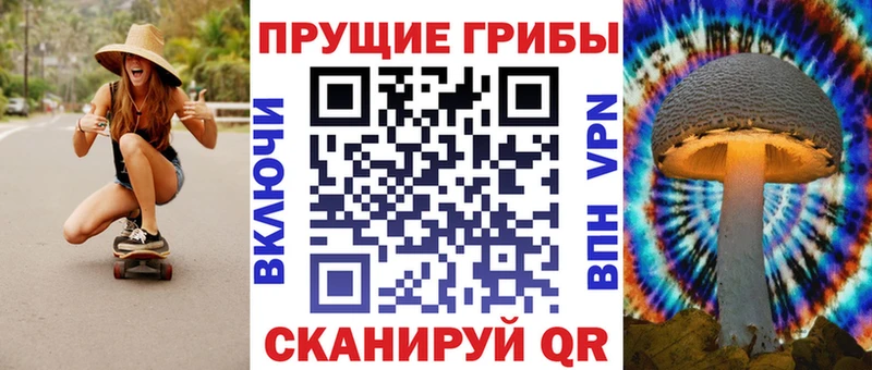 Купить где  Кинешма  Галлюциногенные грибы Psilocybe 